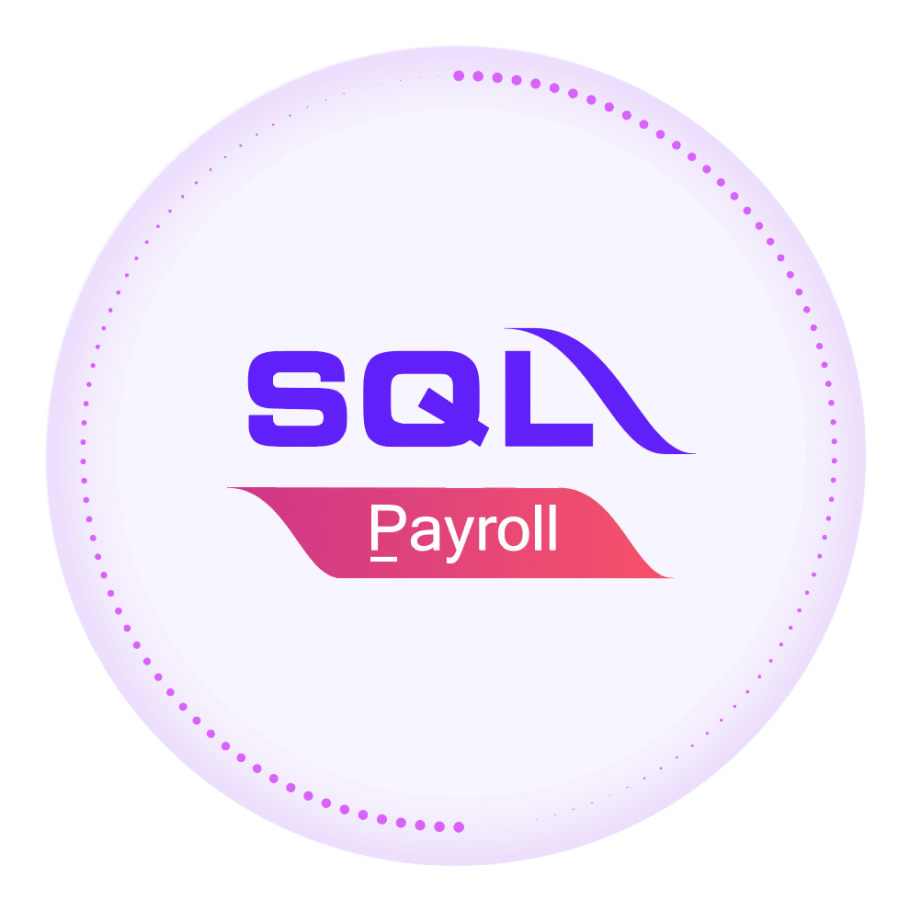 DZT Solutions SQL Payroll software provider